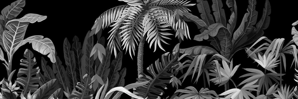 Czarno-biała fototapeta z dżunglą