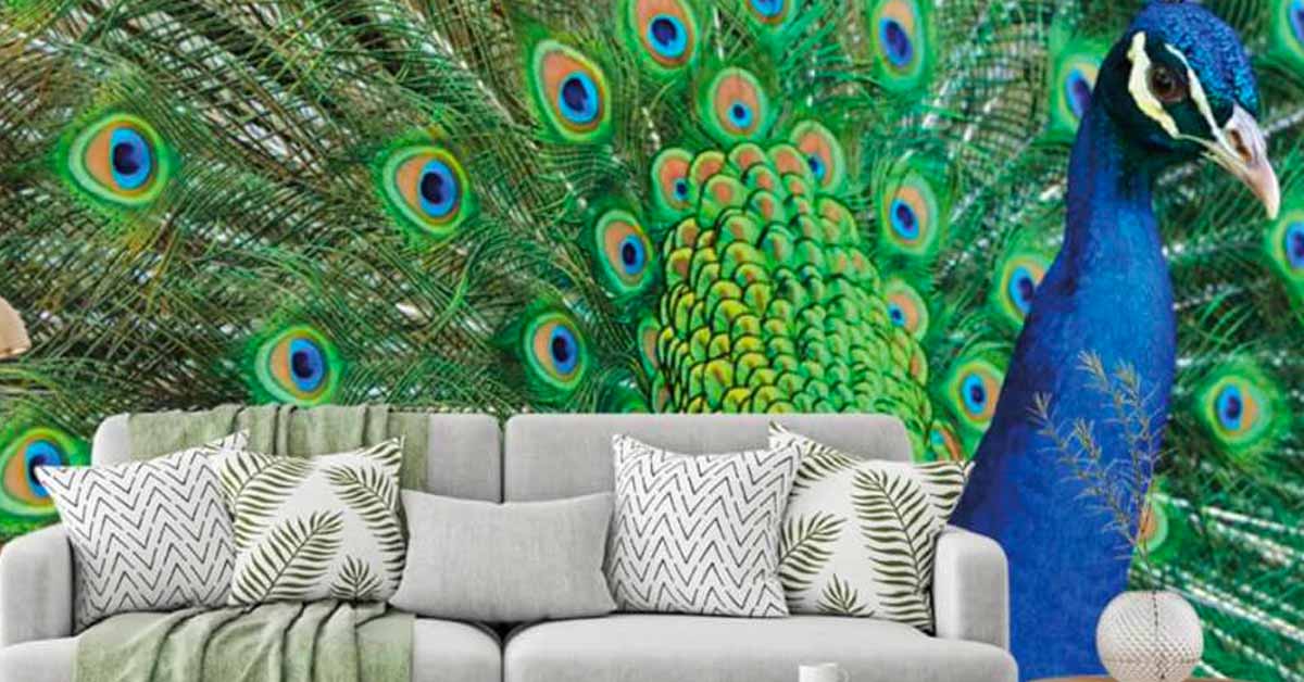 Peacocks photowallpaper