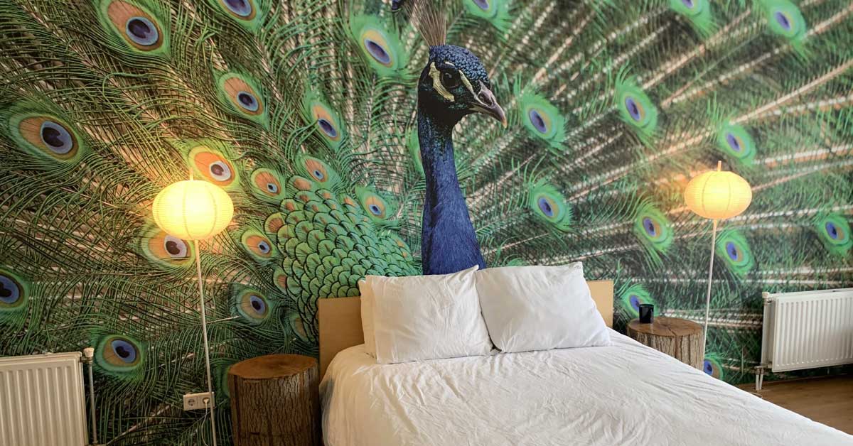 Peacocks photowallpaper Peacocks photowallpaper