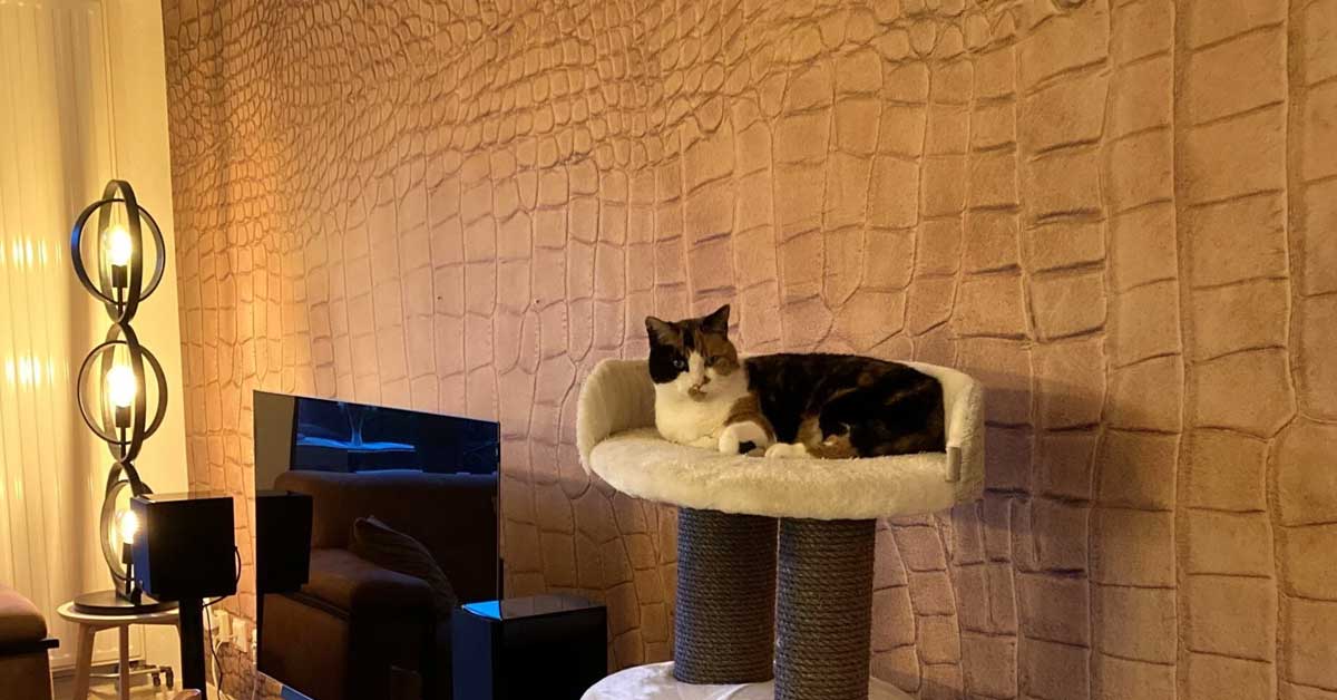 Wallexclusive Premium Tekstury