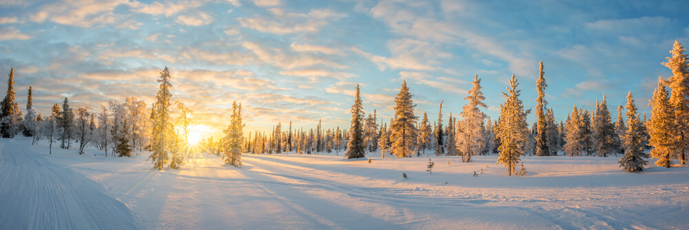 Fototapeta z zimowym krajobrazem
