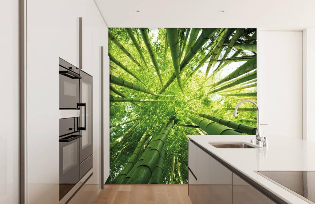 Forest wallpaper - Bamboe - Gang 4