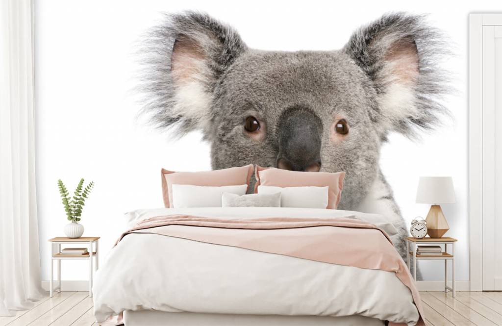 Other - Foto van een koala - Kinderkamer 2