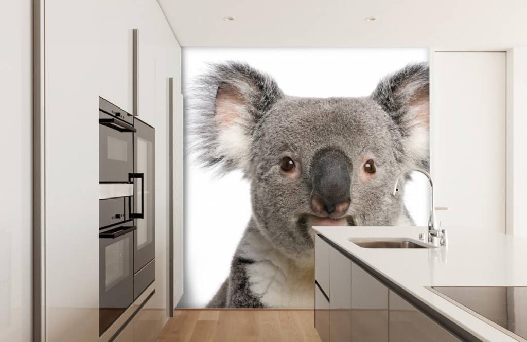 Other - Foto van een koala - Kinderkamer 3