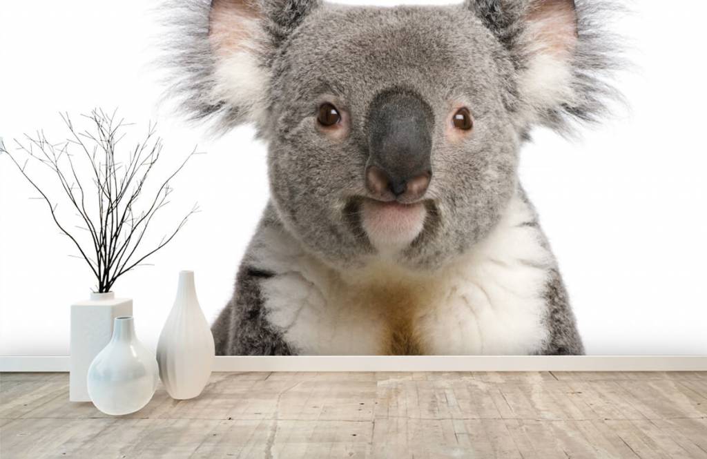 Other - Foto van een koala - Kinderkamer 8