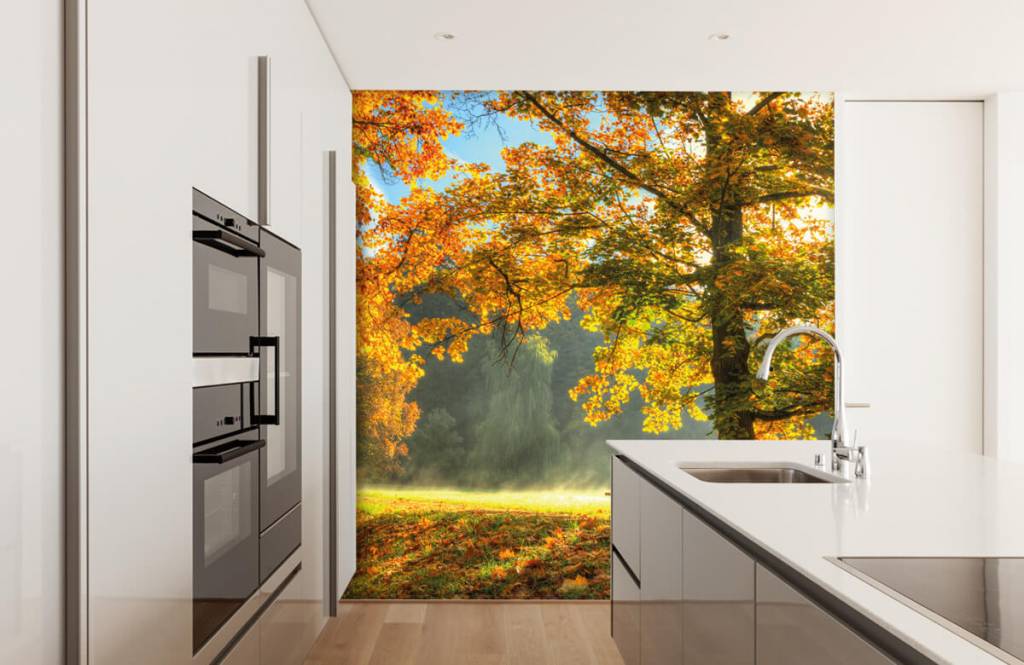 Forest wallpaper - Boom in herfstkleuren - Slaapkamer 1