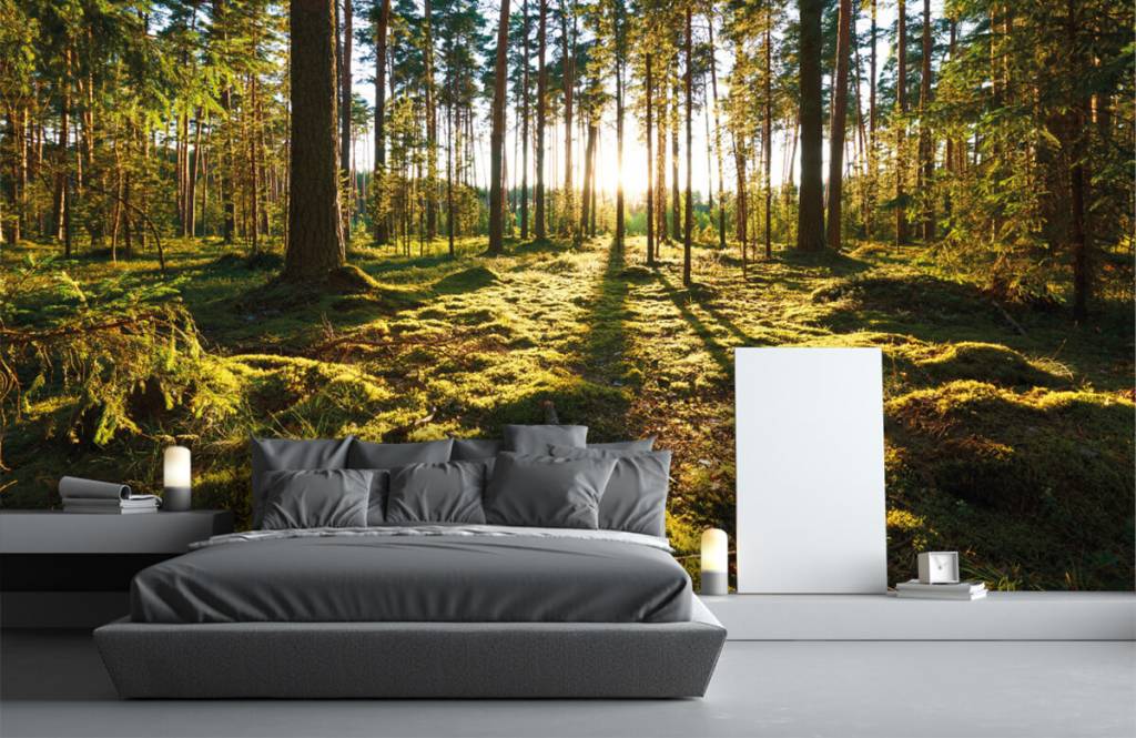 Forest wallpaper - Dennenbos - Slaapkamer 1