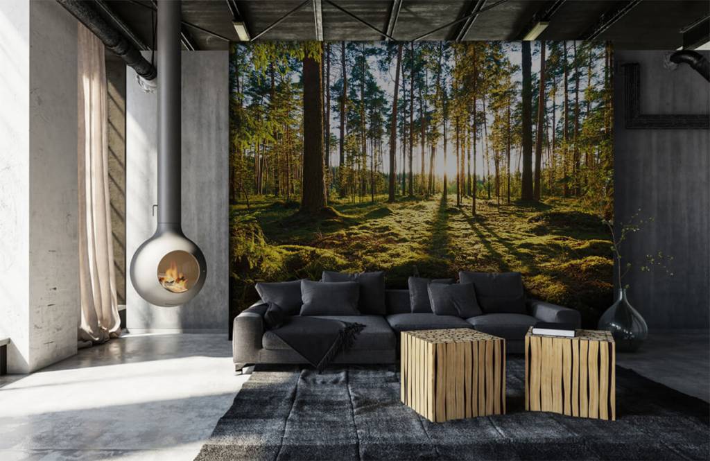 Forest wallpaper - Dennenbos - Slaapkamer 6