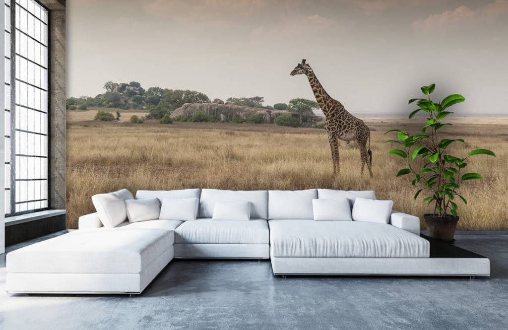 Animals - Giraffe op een savanne - Slaapkamer 1