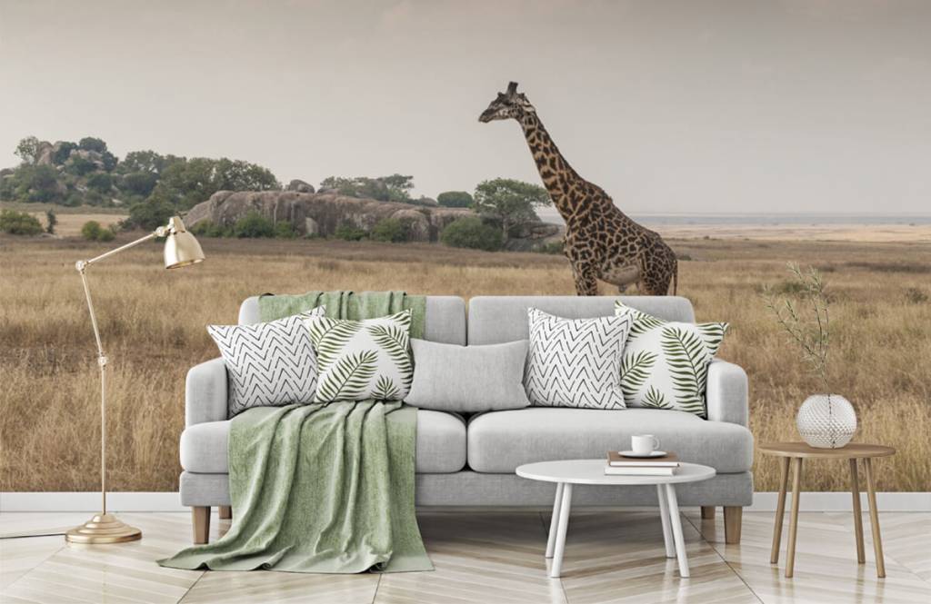 Animals - Giraffe op een savanne - Slaapkamer 3