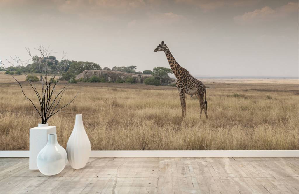 Animals - Giraffe op een savanne - Slaapkamer 4
