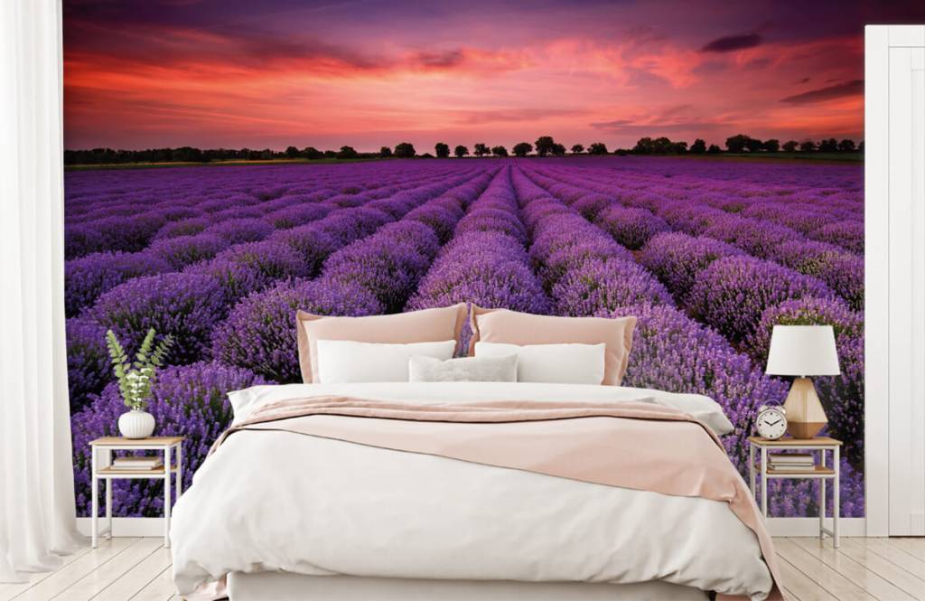 Flower fields - Lavendel veld - Slaapkamer 1