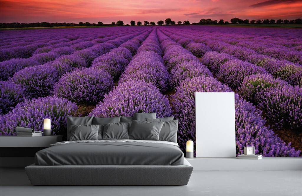 Flower fields - Lavendel veld - Slaapkamer 2