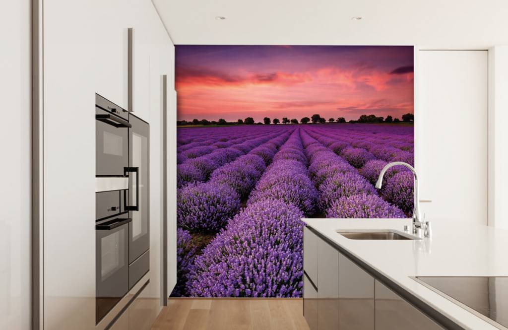 Flower fields - Lavendel veld - Slaapkamer 3