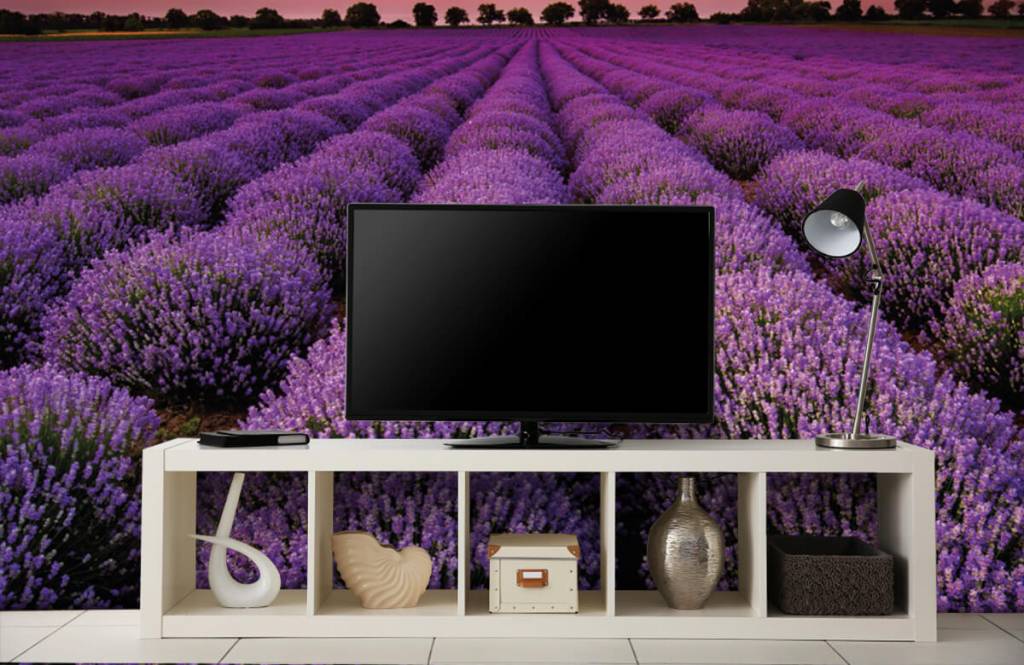 Flower fields - Lavendel veld - Slaapkamer 4