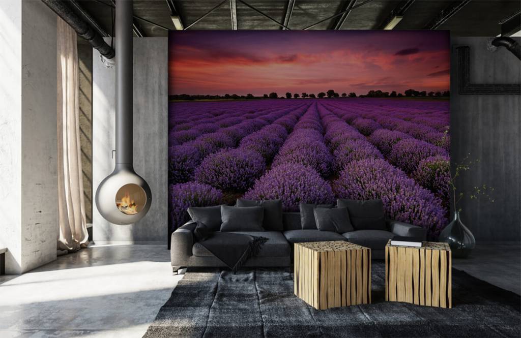 Flower fields - Lavendel veld - Slaapkamer 6