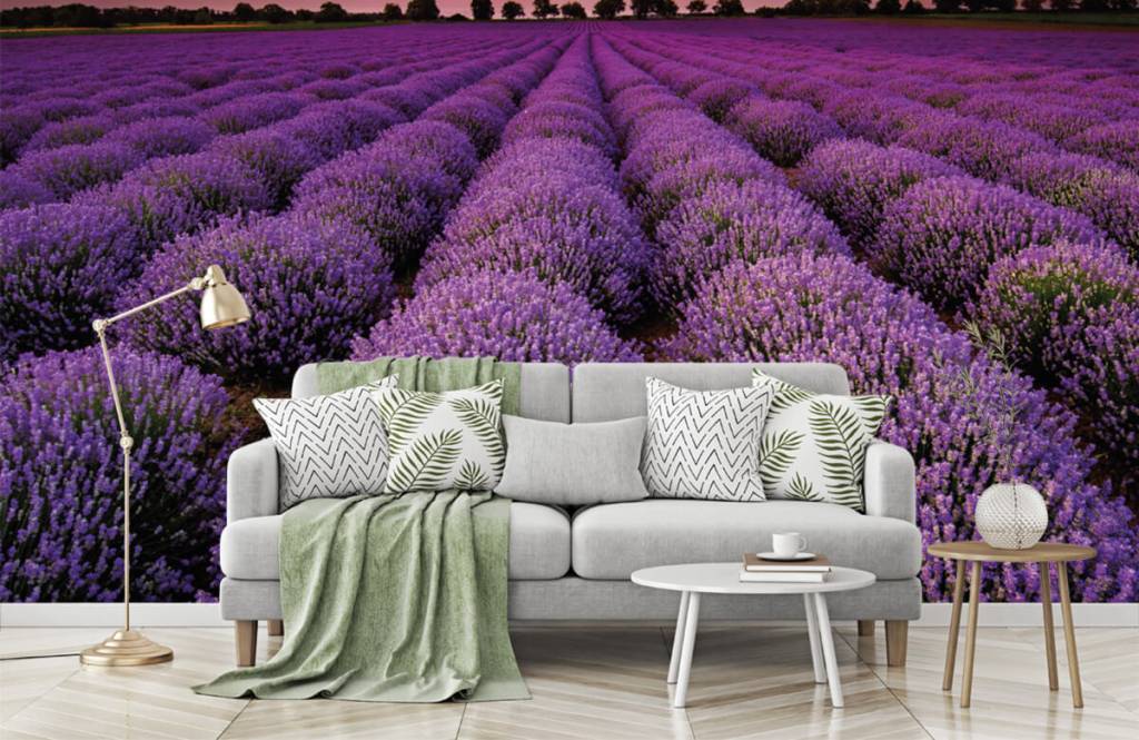 Flower fields - Lavendel veld - Slaapkamer 7
