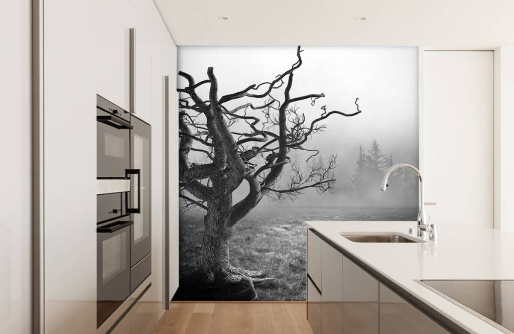 Black and white wallpaper - Sierlijke boom - Slaapkamer 4