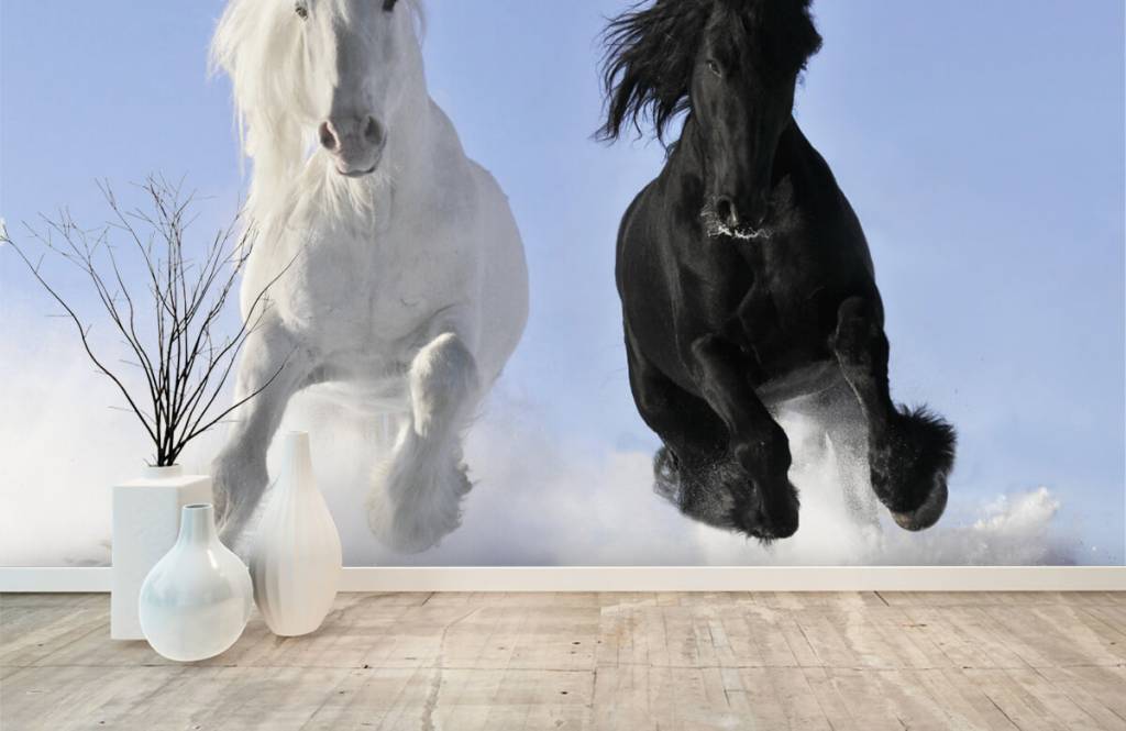 Horses - Wit en een zwart paard - Tienerkamer 1