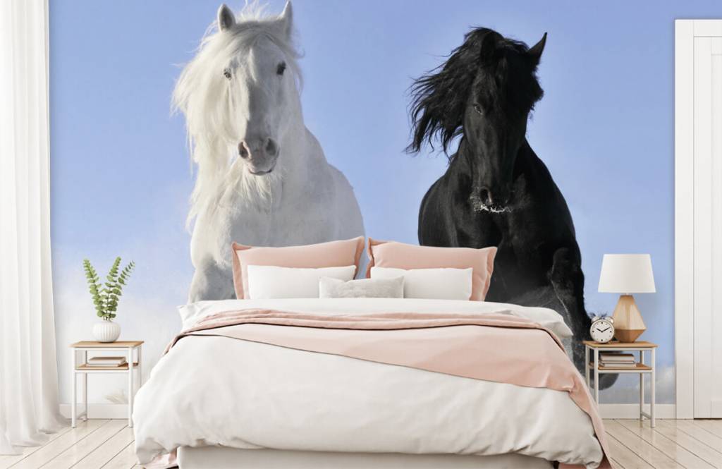 Horses - Wit en een zwart paard - Tienerkamer 2