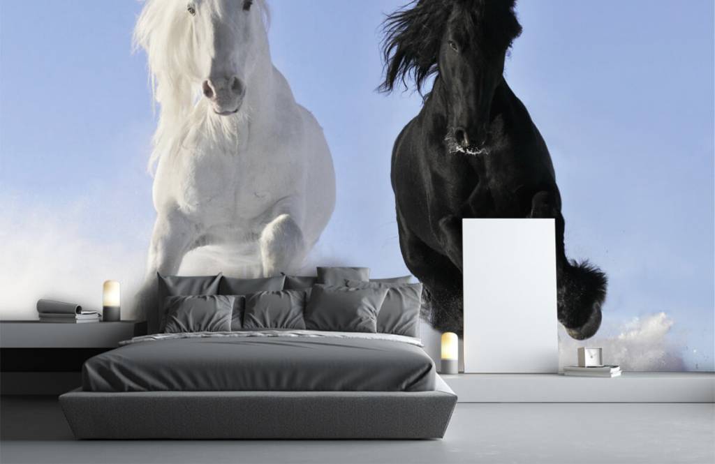 Horses - Wit en een zwart paard - Tienerkamer 3