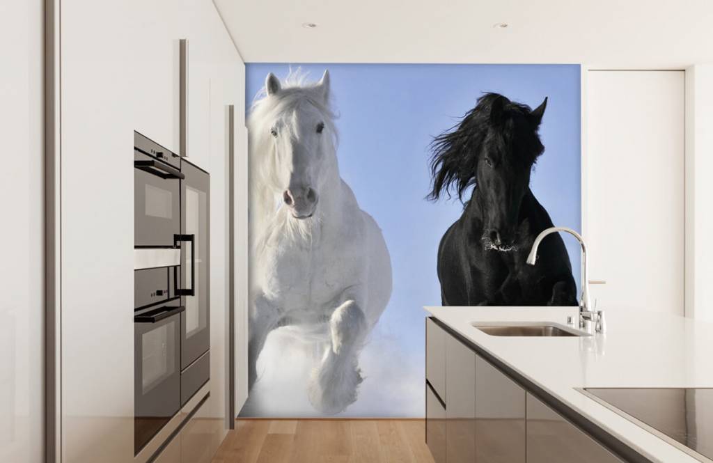 Horses - Wit en een zwart paard - Tienerkamer 4