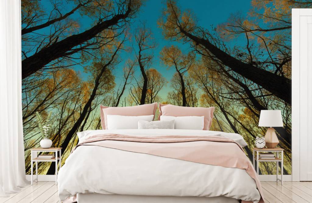 Forest wallpaper - Zonsopkomst tussen hoge bomen - Slaapkamer 2