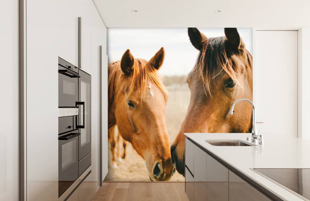 Horses - Twee paarden - Kinderkamer 7