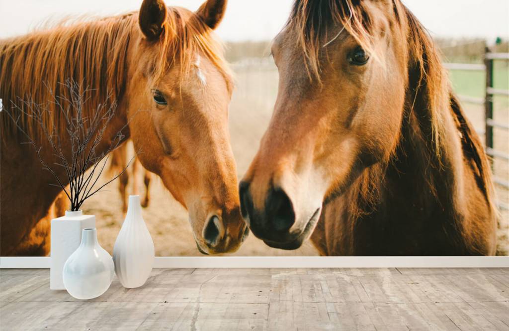 Horses - Twee paarden - Kinderkamer 8