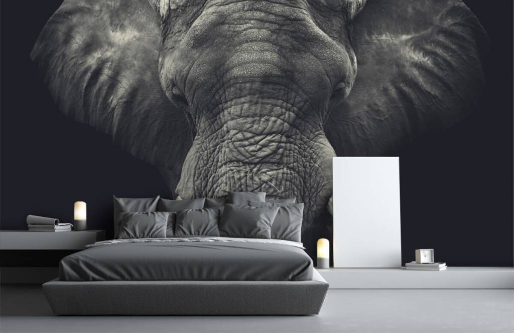 Elephants - Close-up van een olifant - Slaapkamer 1