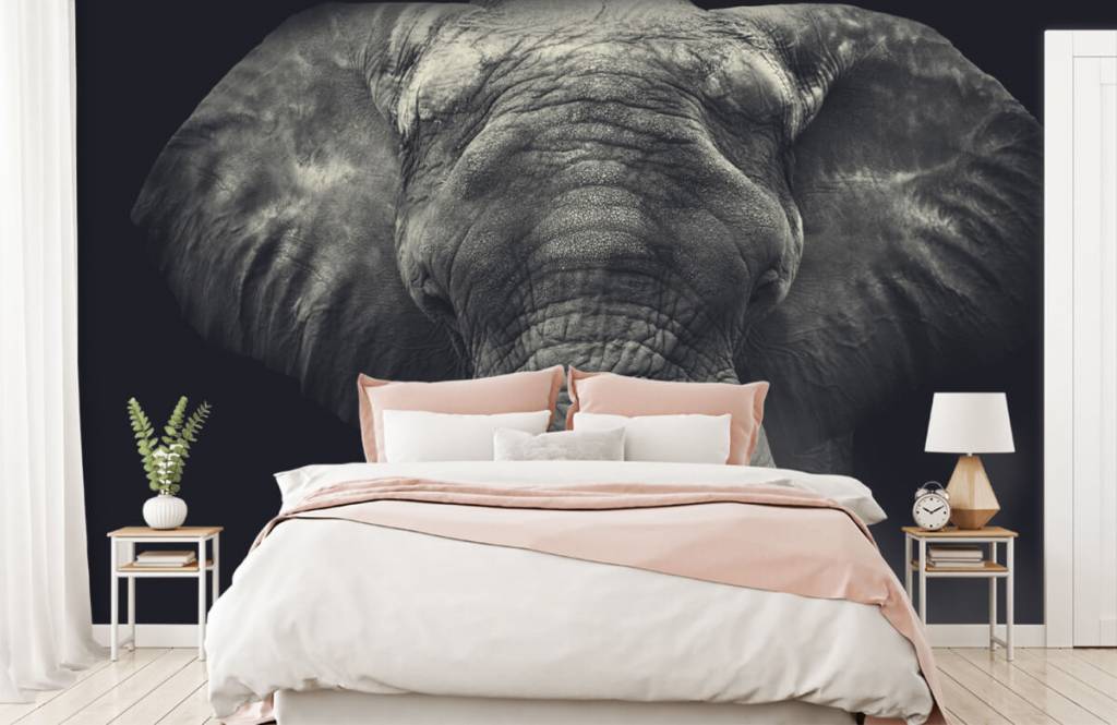 Elephants - Close-up van een olifant - Slaapkamer 2