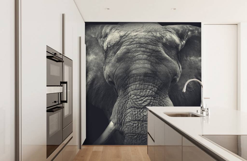 Elephants - Close-up van een olifant - Slaapkamer 3