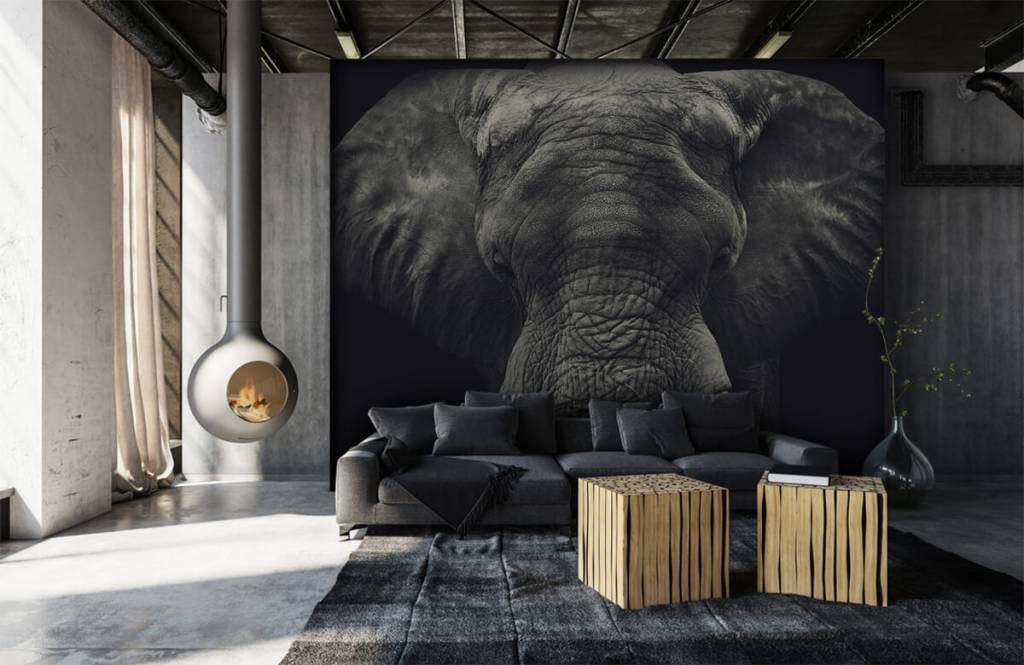 Elephants - Close-up van een olifant - Slaapkamer 6
