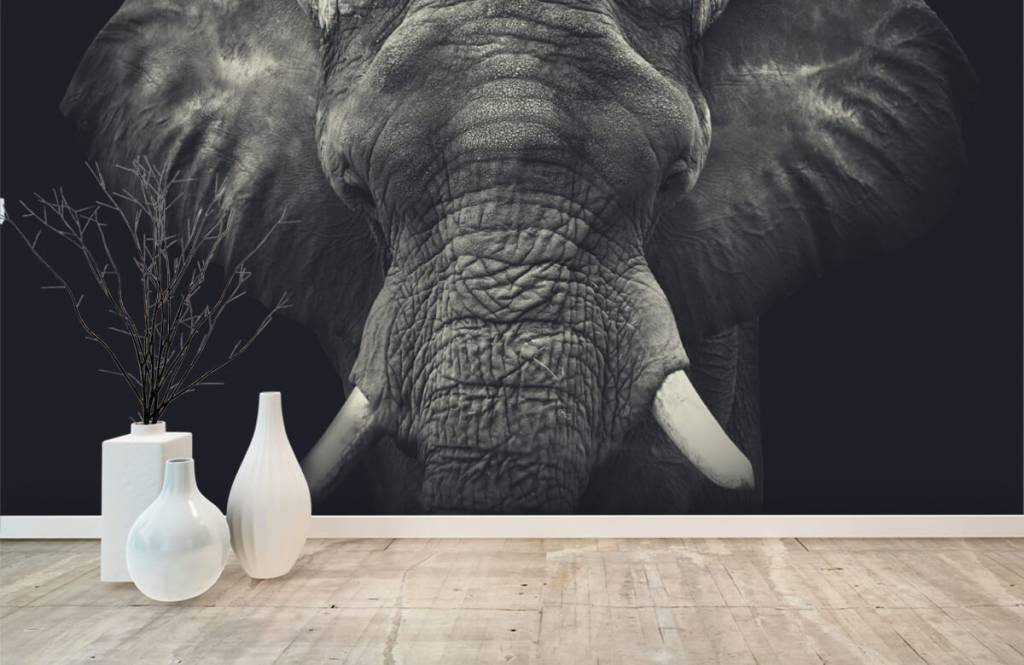 Elephants - Close-up van een olifant - Slaapkamer 8