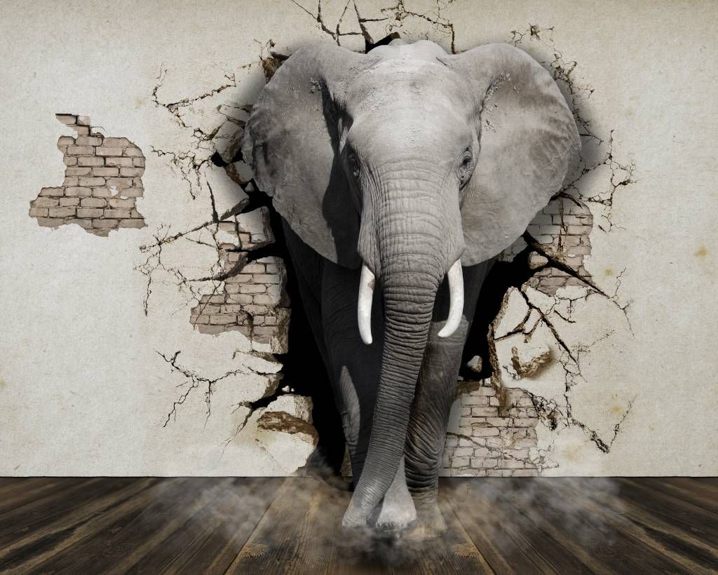 Słoń 3D od ściany