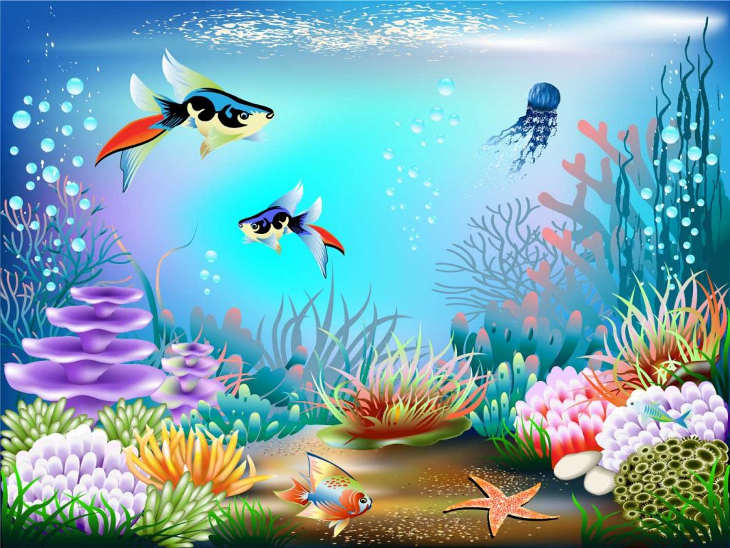 Ryby w morzu