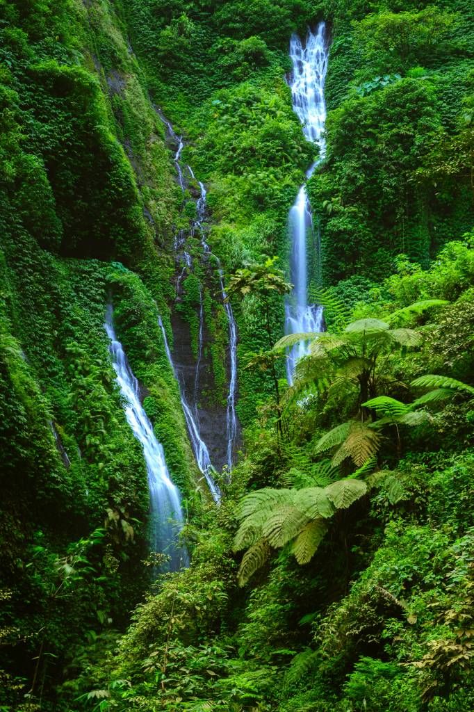 Zielona dżungla i wodospady.
