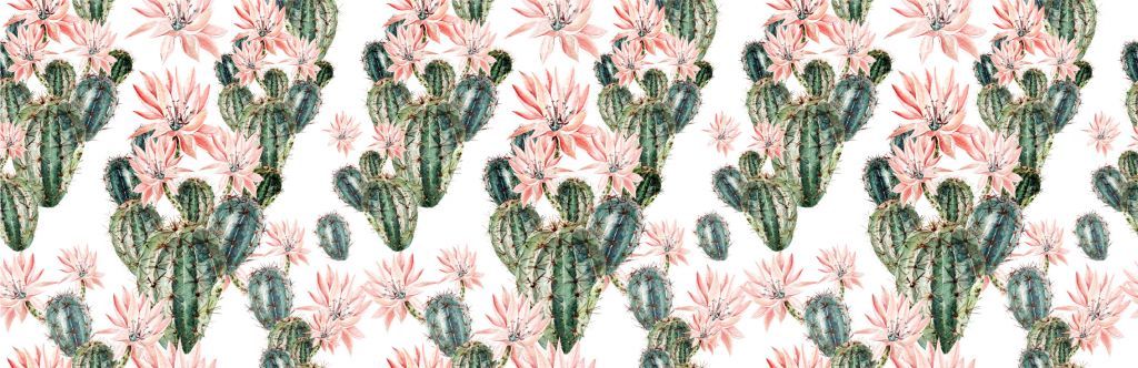 Kaktusy z kwiatami