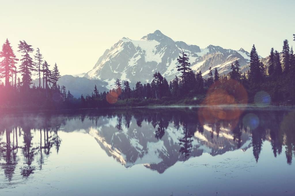 Jezioro górskie z lasem