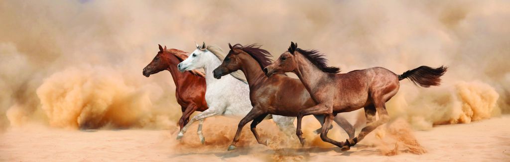 Galopujące konie w burzy piaskowej
