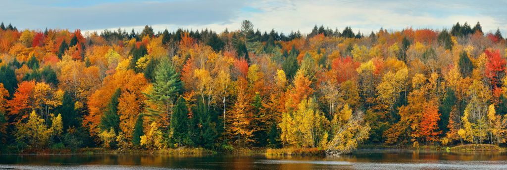 Jezioro z jesiennymi drzewami