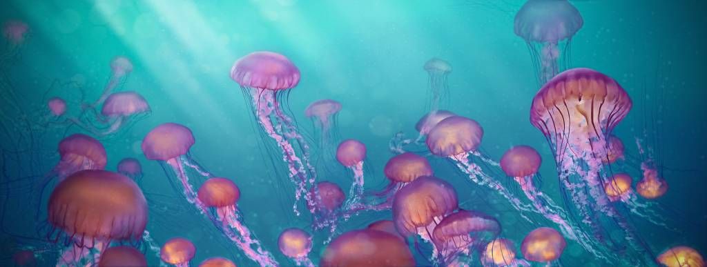 Różowe meduzy w niebieskim morzu
