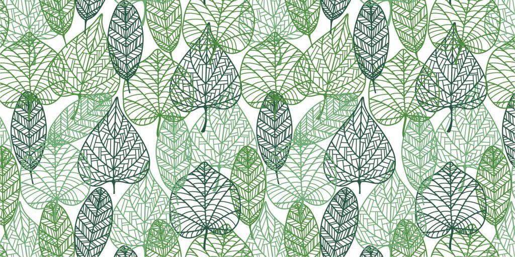 Ażurowe zielone liście