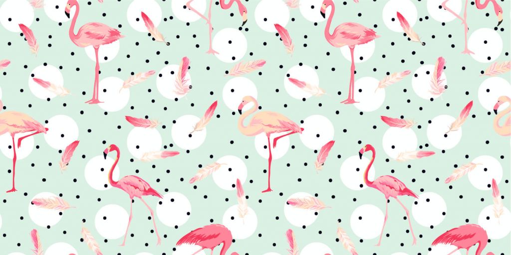Flamingi i pióra
