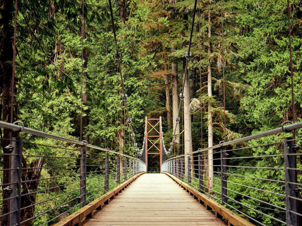 Most przez las
