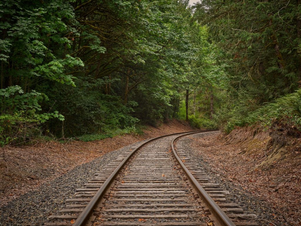 Linia kolejowa przez las