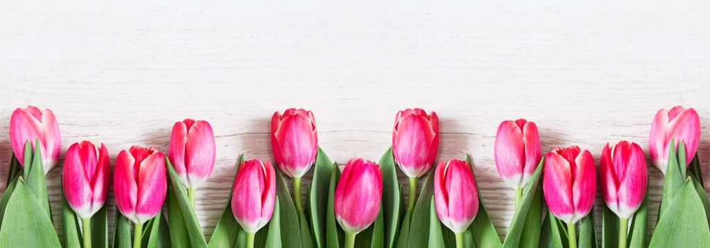 Różowe tulipany na drewnie