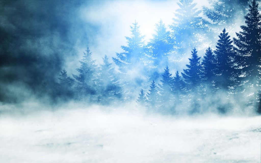Ciemny las ze śniegiem