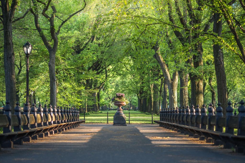 Ścieżka w Central Parku