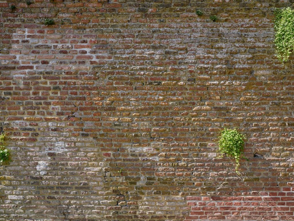 Stary kamienny mur miejski z roślinnością